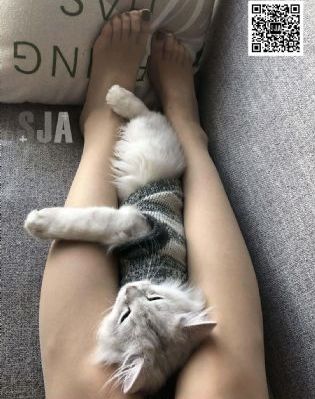 李丽莎无圣光大尺度AV_4K高清免费观看